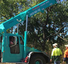 Teal Crane and Workers — Cranes in Mackay, QLD